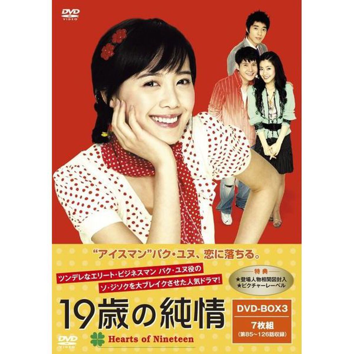 19歳の純情　DVD－BOX　Ⅲ（ＤＶＤ）