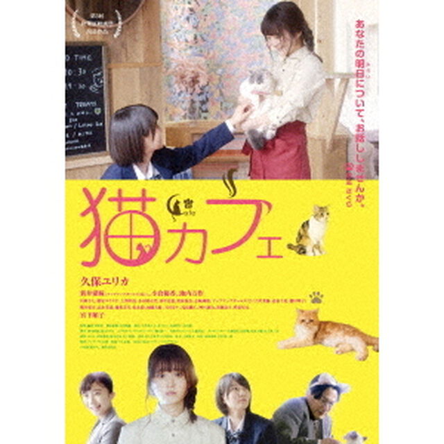 猫カフェ（ＤＶＤ）
