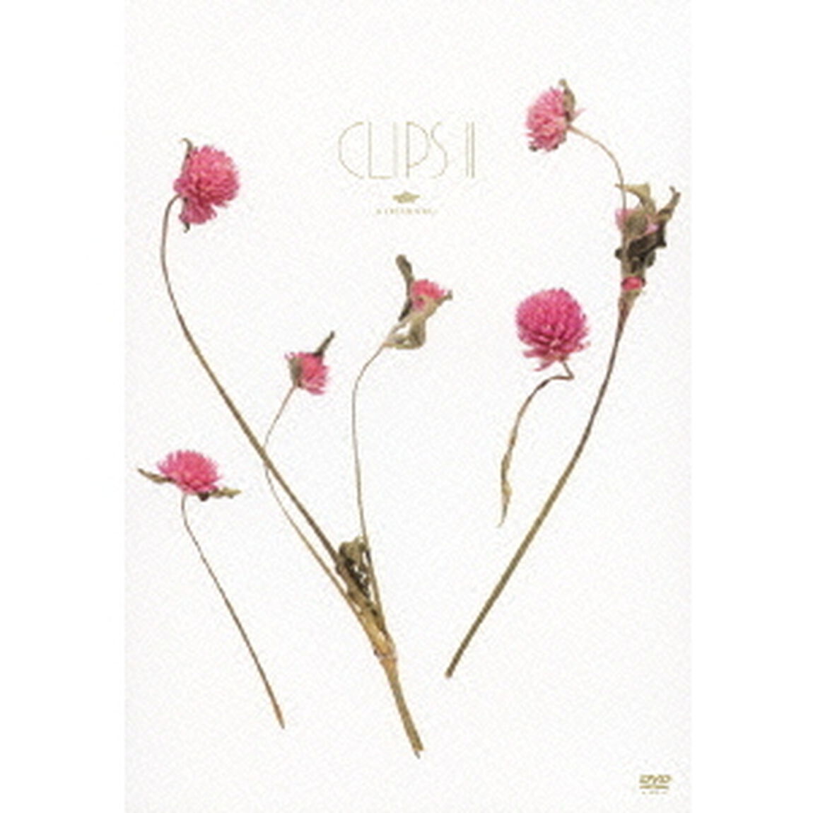 CLIPS　Ⅱ（ＤＶＤ）