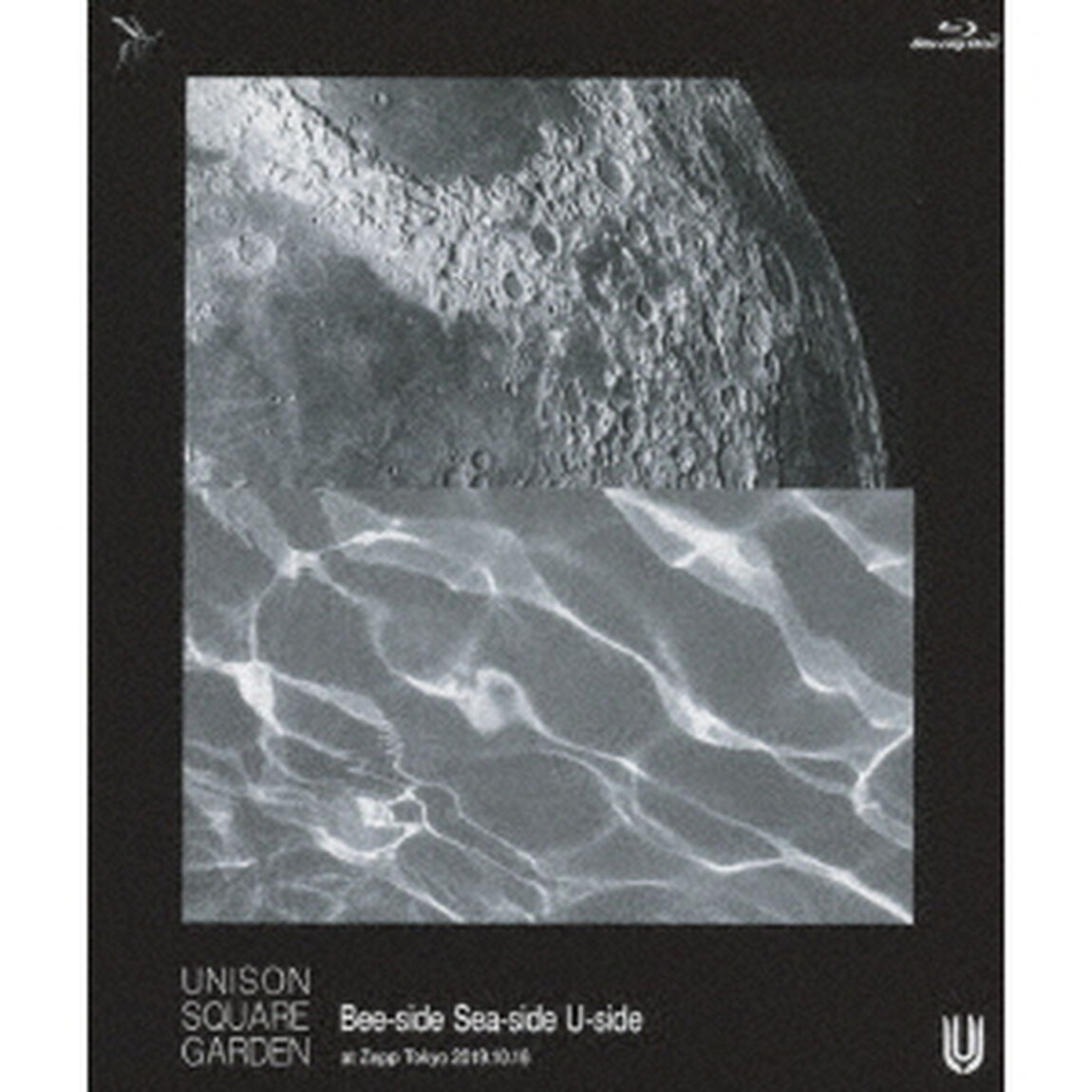 UNISON　SQUARE　GARDEN　Bee－side　Sea－side　U－side　at　Zepp　Tokyo　2019．10．16（Ｂｌｕ－ｒａｙ　Ｄｉｓｃ）
