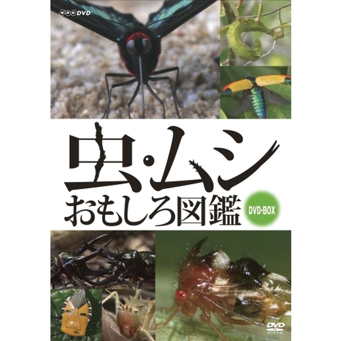 虫・ムシ　おもしろ図鑑　DVDセット（ＤＶＤ）