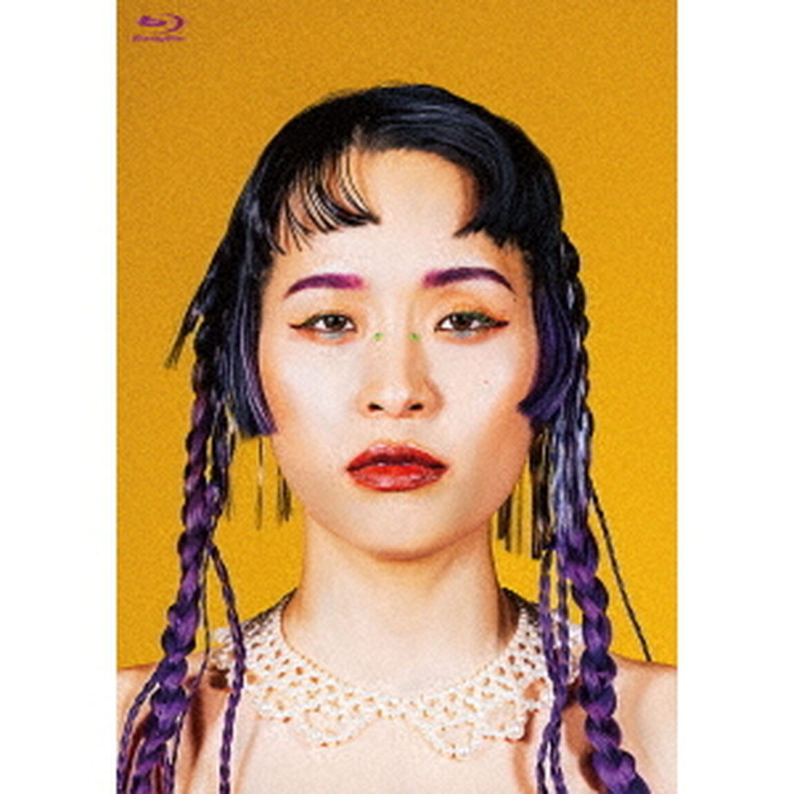紆余曲折集会（Ｂｌｕ－ｒａｙ　Ｄｉｓｃ）