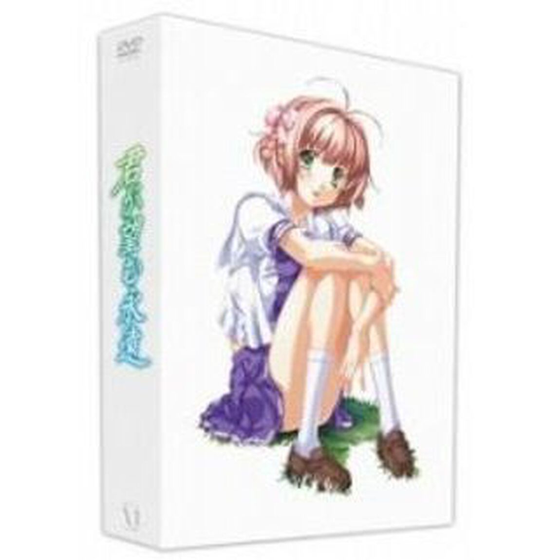 君が望む永遠　DVD－BOX（ＤＶＤ）
