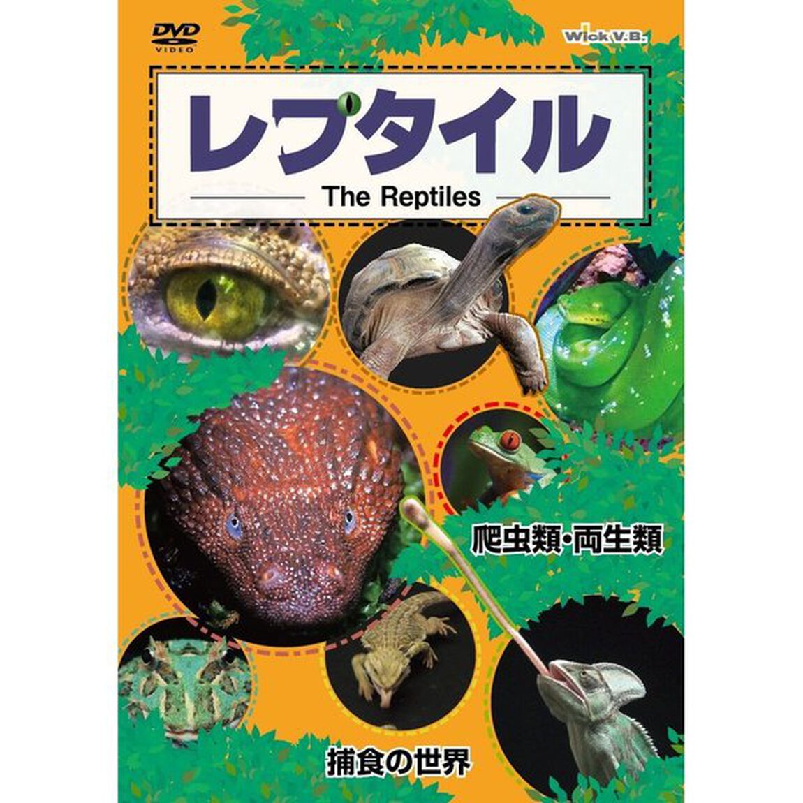 レプタイルDVD 爬虫類・両生類／捕食の世界（ＤＶＤ）