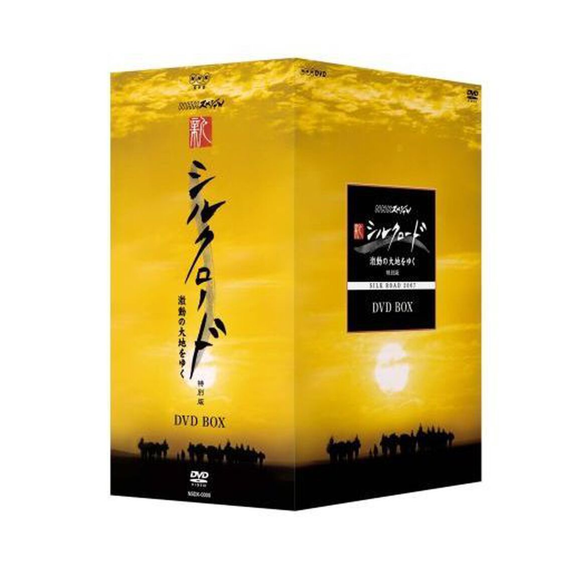 NHKスペシャル　新シルクロード　激動の大地をゆく　特別版　DVD　BOX（ＤＶＤ）