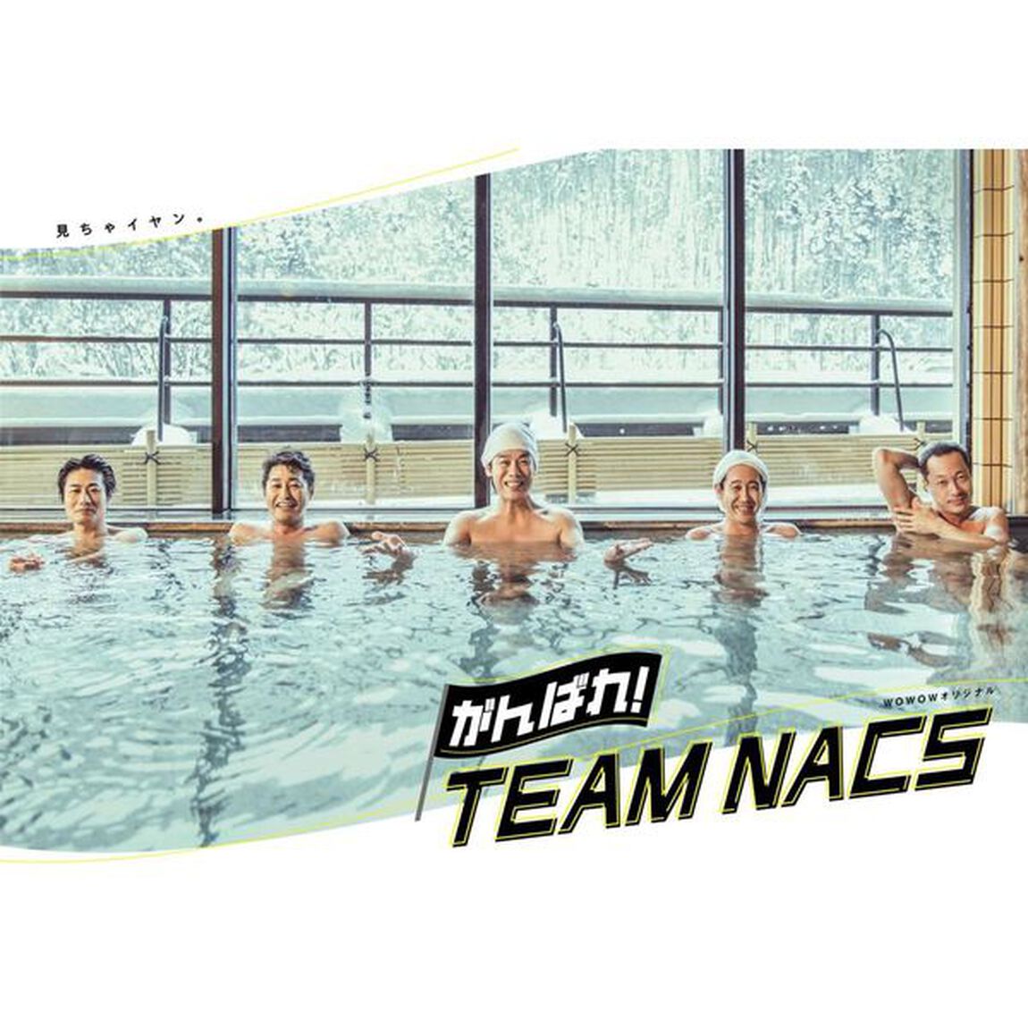 がんばれ！TEAM　NACS（ＤＶＤ）