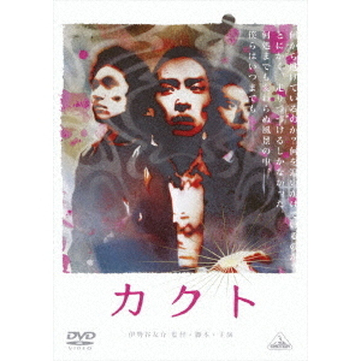 カクト（ＤＶＤ）