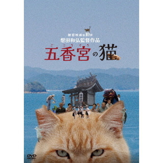五香宮の猫（ＤＶＤ）