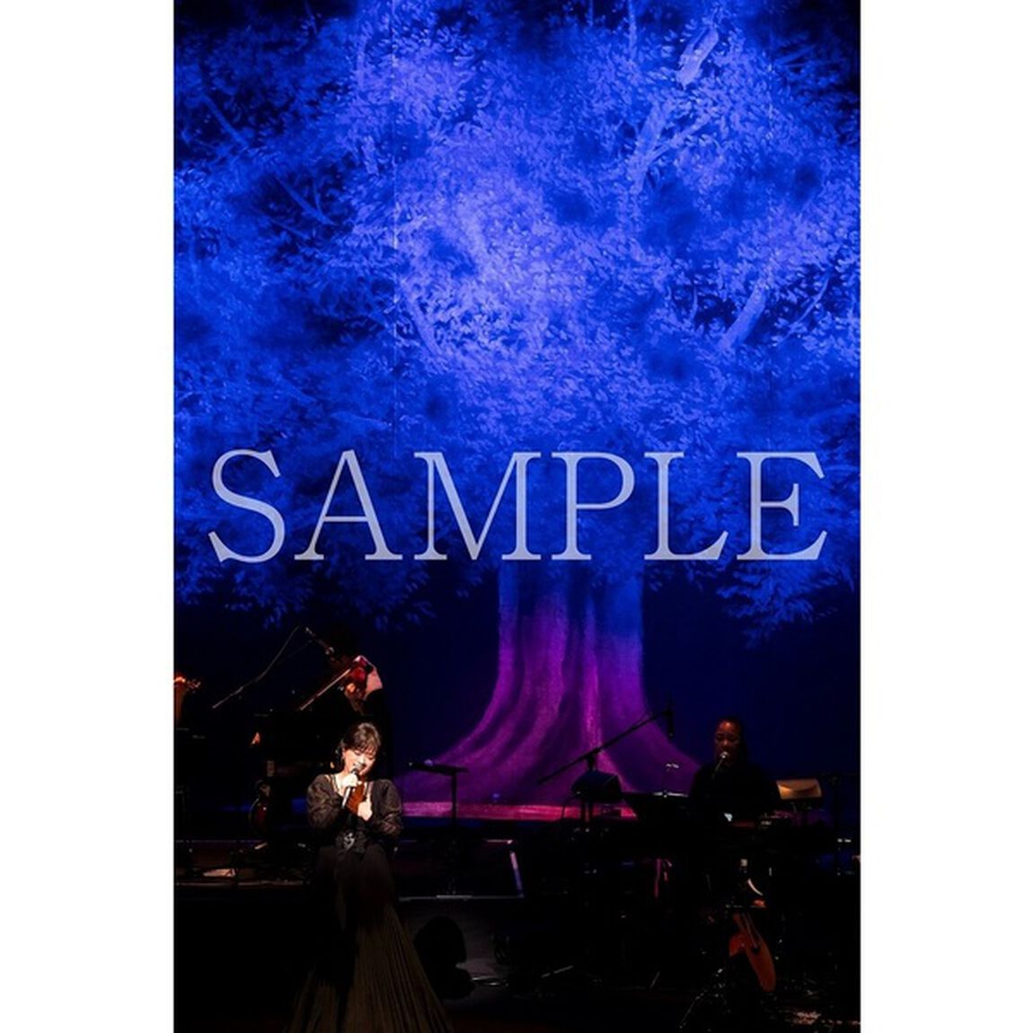 薬師丸ひろ子／Tree 〜 Live at EX THEATER ROPPONGI 〜 Blu-ray 通常盤（セブンネット限定特典：オリジナル・ポストカード【絵柄E】）（Ｂｌｕ－ｒａｙ　Ｄｉｓｃ）