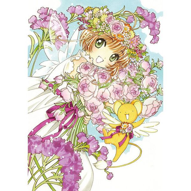 カードキャプターさくら DVD-BOX（ＤＶＤ）