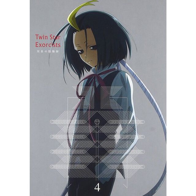 双星の陰陽師　4（ＤＶＤ）