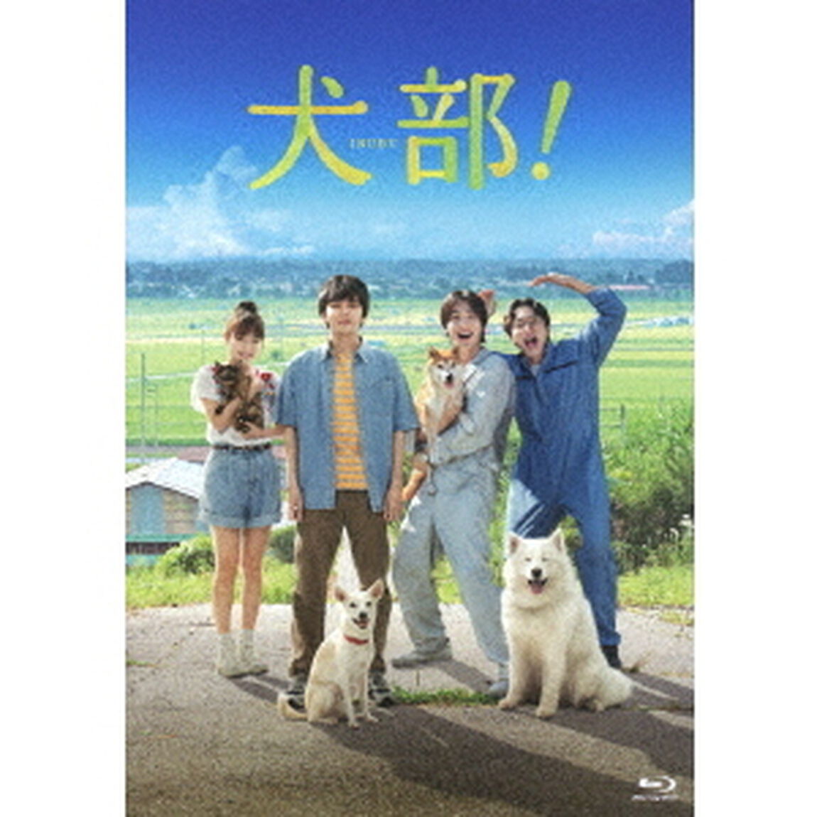 犬部！　豪華版（Ｂｌｕ－ｒａｙ　Ｄｉｓｃ）