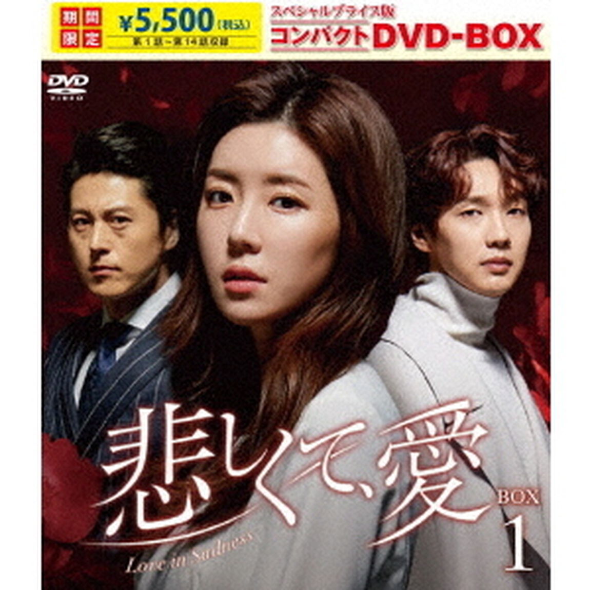 悲しくて、愛　スペシャルプライス版コンパクトDVD－BOX1（ＤＶＤ）