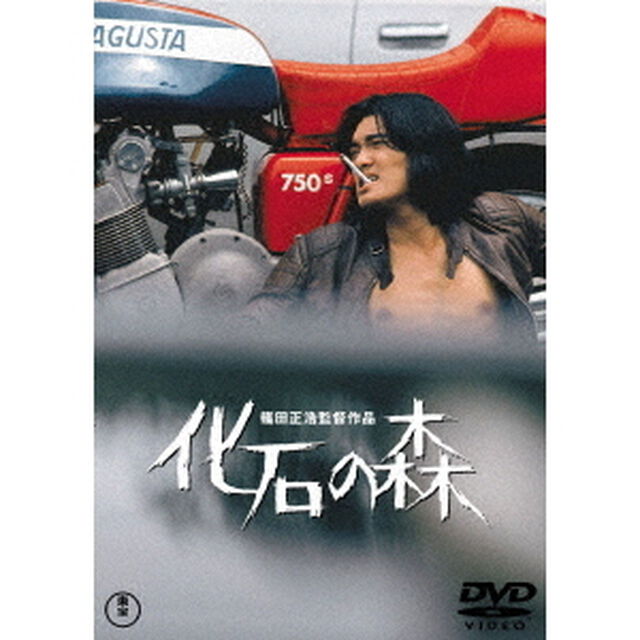 化石の森（ＤＶＤ）