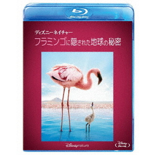 ディズニーネイチャー／フラミンゴに隠された地球の秘密（Ｂｌｕ－ｒａｙ　Ｄｉｓｃ）