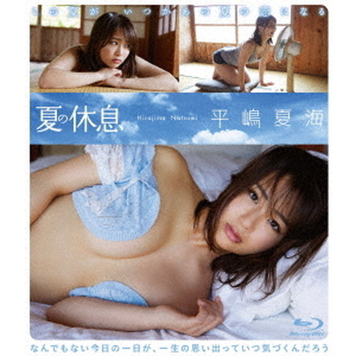 夏の休息（Ｂｌｕ－ｒａｙ　Ｄｉｓｃ）