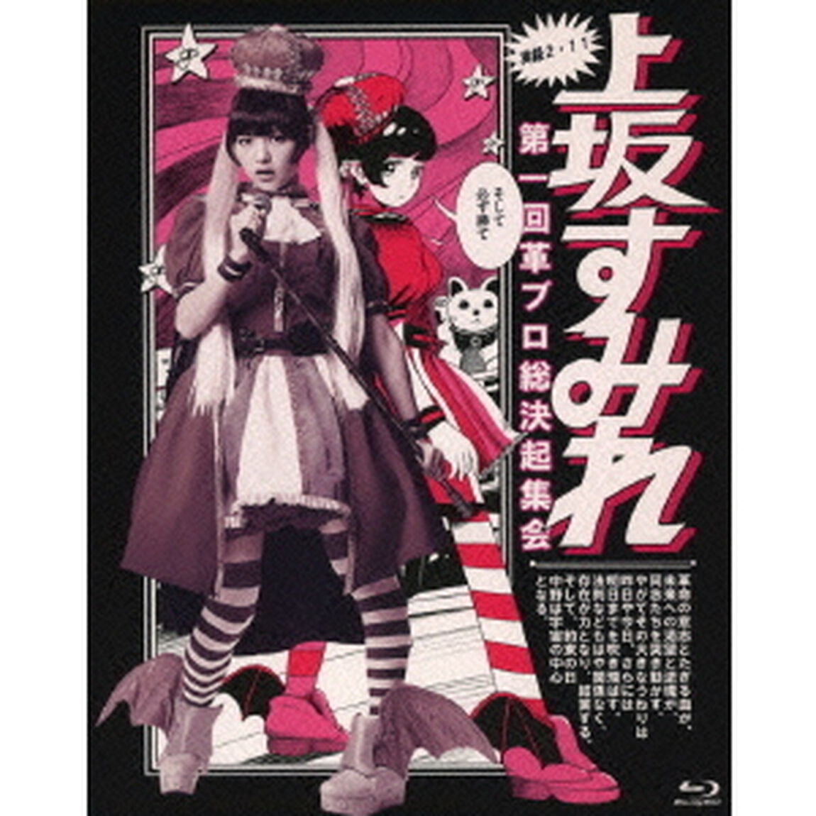 実録・2．11　第一回　革ブロ総決起集会（Ｂｌｕ－ｒａｙ　Ｄｉｓｃ）