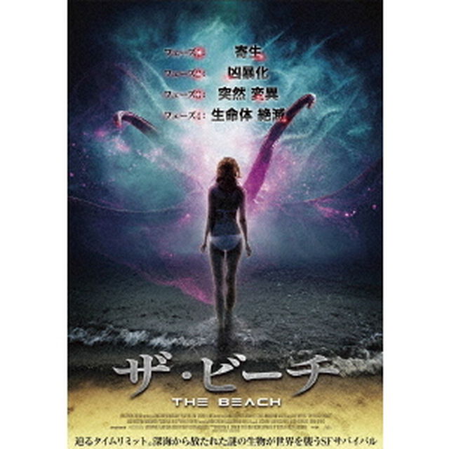 ザ・ビーチ（ＤＶＤ）