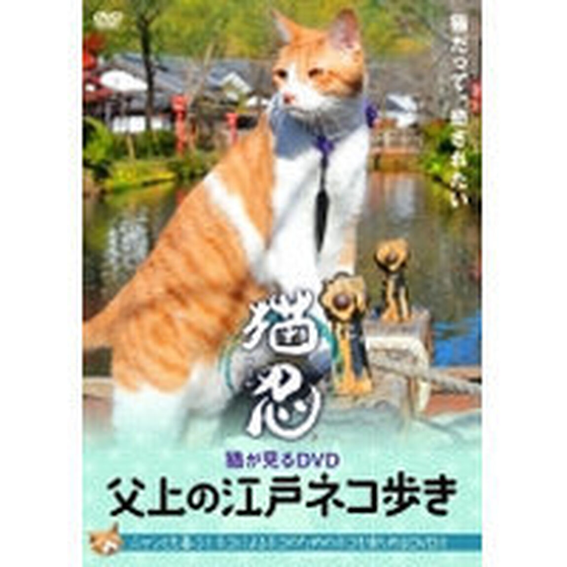 猫忍　猫がみるDVD　父上の江戸ネコ歩き（ＤＶＤ）
