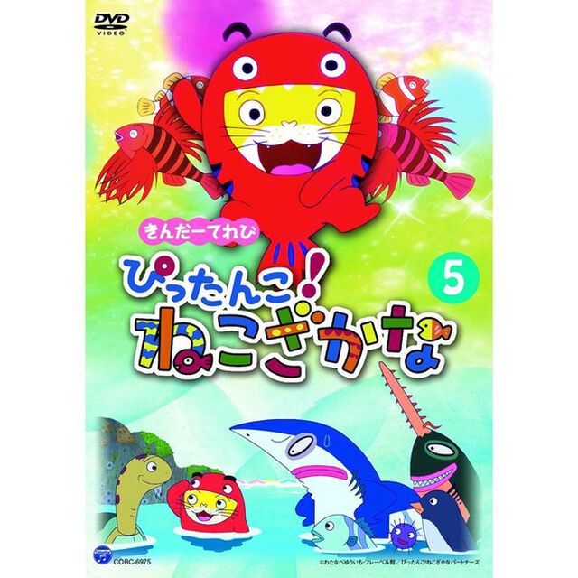 きんだーてれび　ぴったんこ！ねこざかな　5（ＤＶＤ）