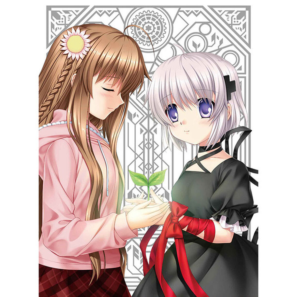 Rewrite　12（ＤＶＤ）