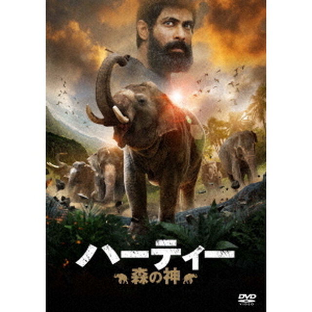 ハーティー　森の神（ＤＶＤ）
