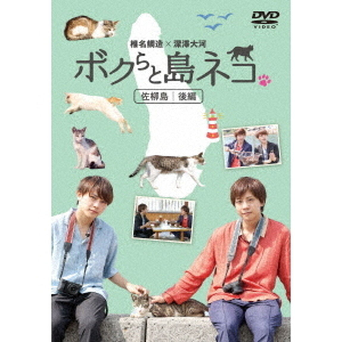 「ボクらと島ネコ。in　佐柳島　後編」　椎名鯛造&times;深澤大河（ＤＶＤ）