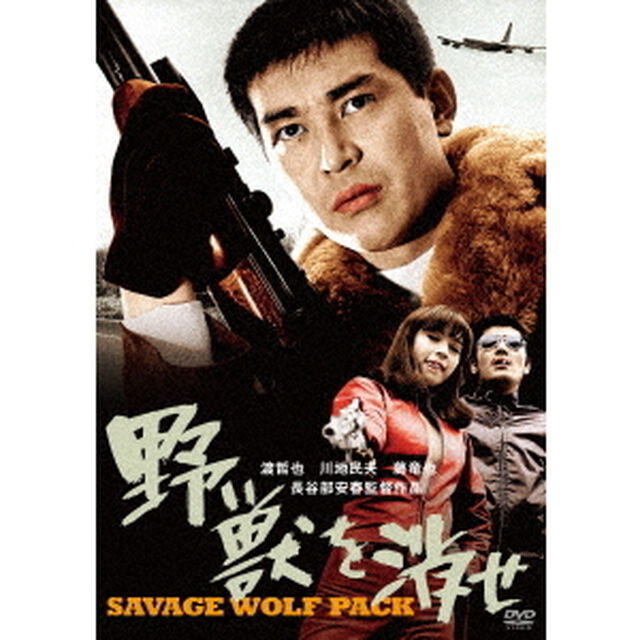 野獣を消せ（ＤＶＤ）