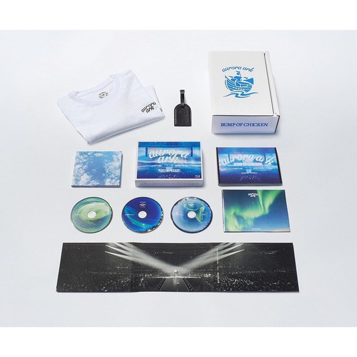 BUMP OF CHICKEN／BUMP OF CHICKEN TOUR 2019 aurora ark TOKYO DOME DVD 初回限定盤 ＜先着数量限定＞※11月25日以降お届け予定（ＤＶＤ）