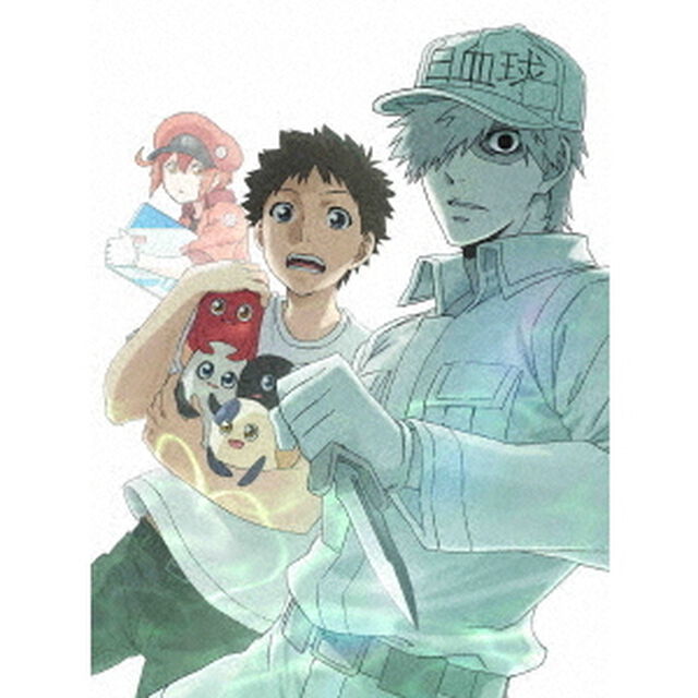 はたらく細胞！！　Vol．3（ＤＶＤ）