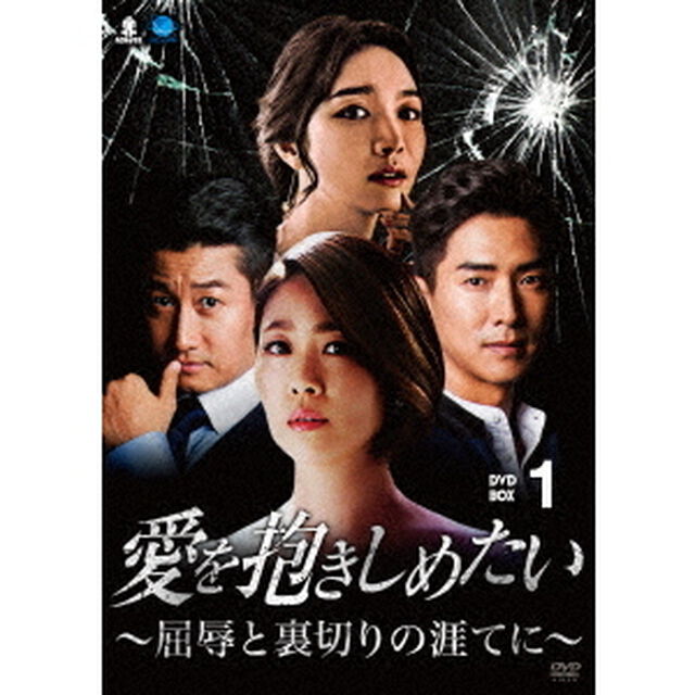 愛を抱きしめたい　〜屈辱と裏切りの涯てに〜　DVD－BOX1（ＤＶＤ）