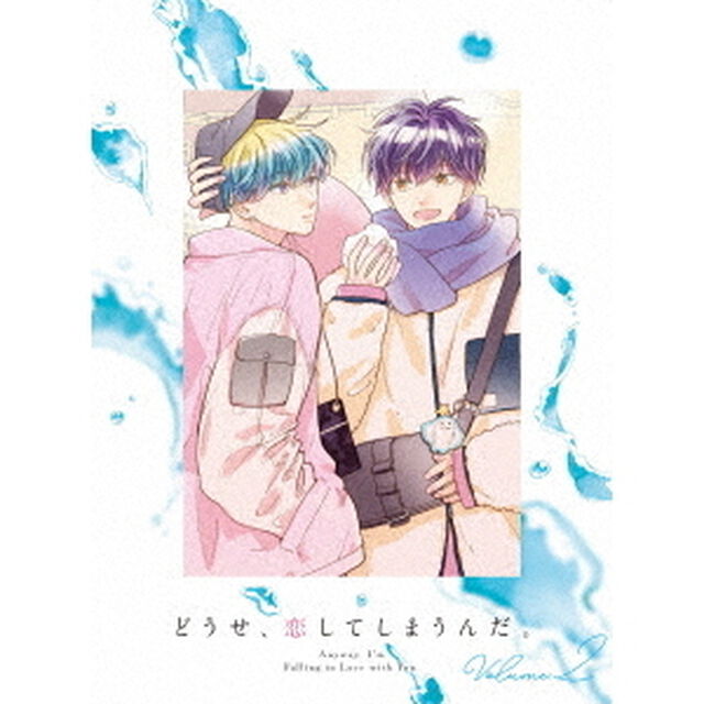 どうせ、恋してしまうんだ。 DVD-BOX Vol.2（ＤＶＤ）