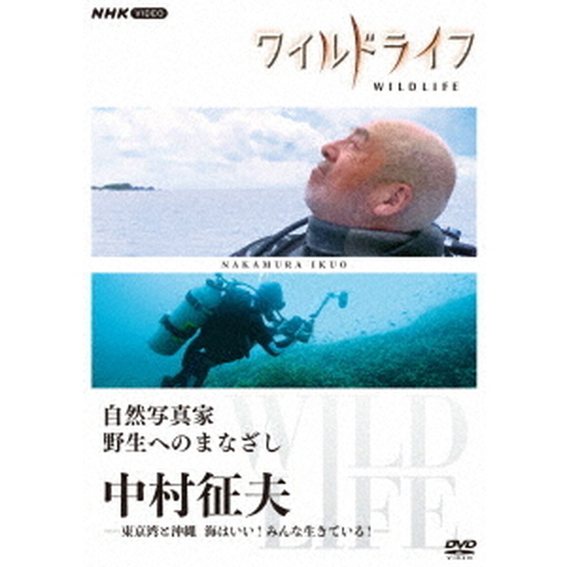 ワイルドライフ　自然写真家　野生へのまなざし　中村征夫　－東京湾と沖縄　海はいい！みんな生きている！－（ＤＶＤ）