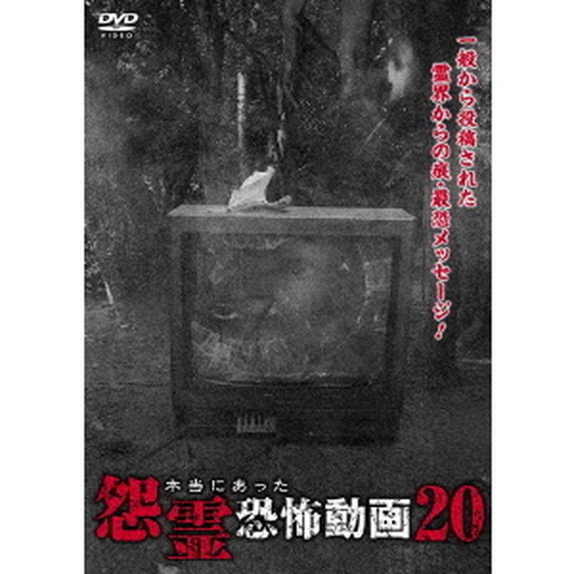 本当にあった怨霊恐怖動画20（ＤＶＤ）