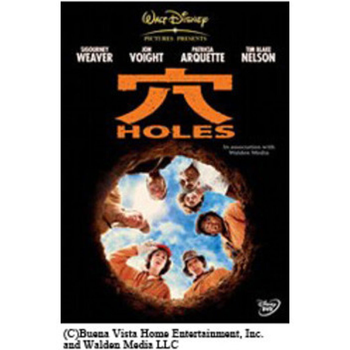 穴／HOLES（ＤＶＤ）