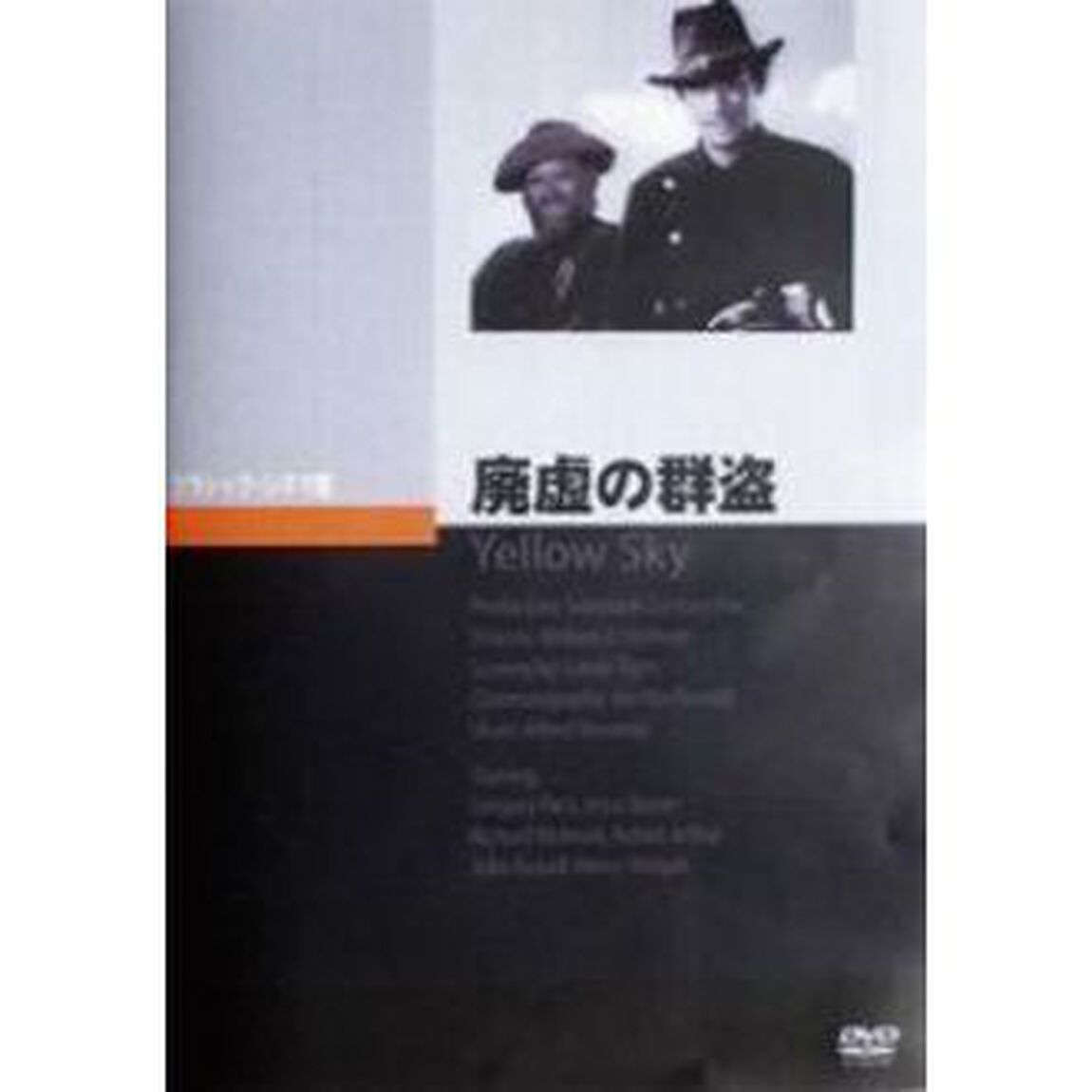 廃墟の群盗（ＤＶＤ）