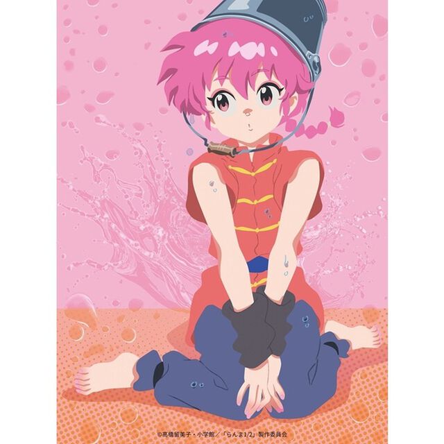 らんま1／2　DVD　BOX　Vol．1（ＤＶＤ）