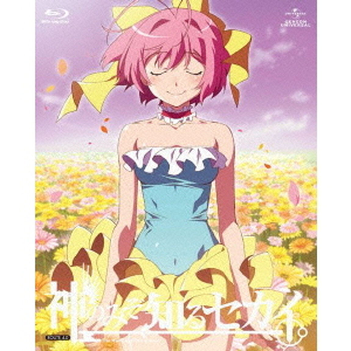神のみぞ知るセカイ　ROUTE　4．0（Ｂｌｕ－ｒａｙ　Ｄｉｓｃ）