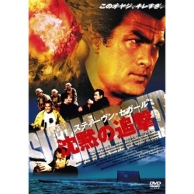スティーヴン・セガール 沈黙の追撃 特別版 ＜期間限定生産＞（ＤＶＤ）