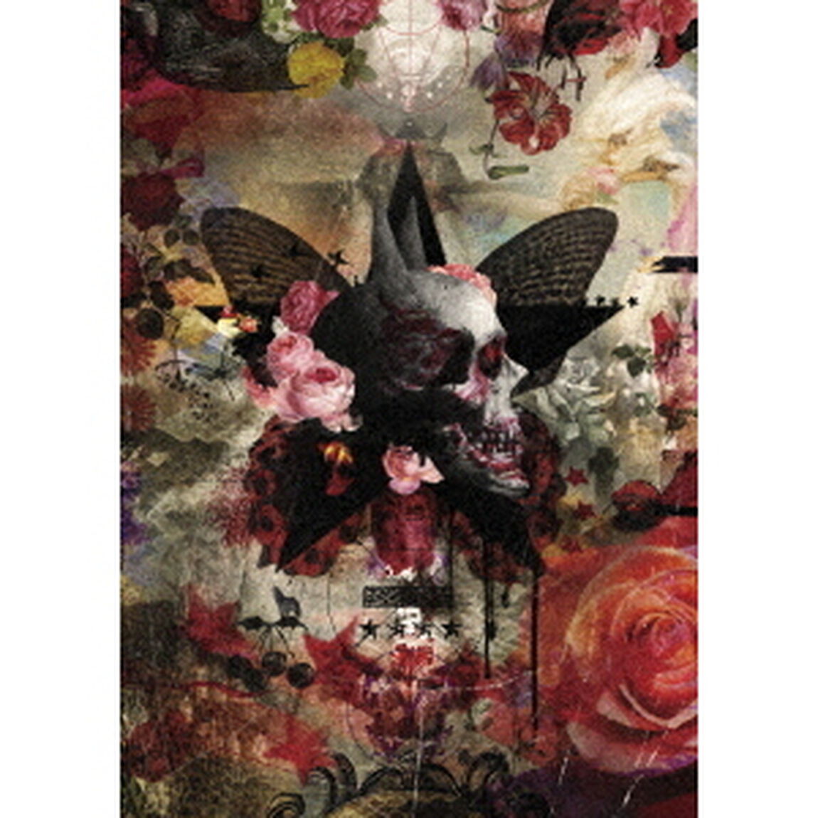 The　reproduction　7th　anniversary　FALLING　THE　LIVE（ＤＶＤ）
