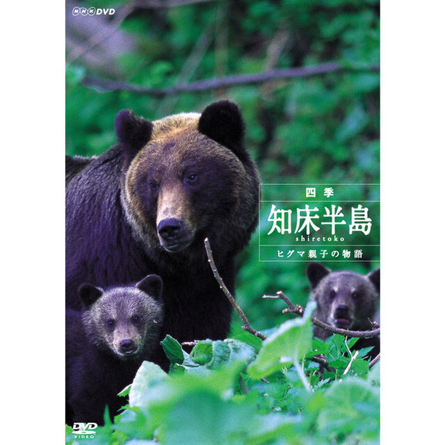 四季・知床半島　〜ヒグマ親子の物語〜（ＤＶＤ）