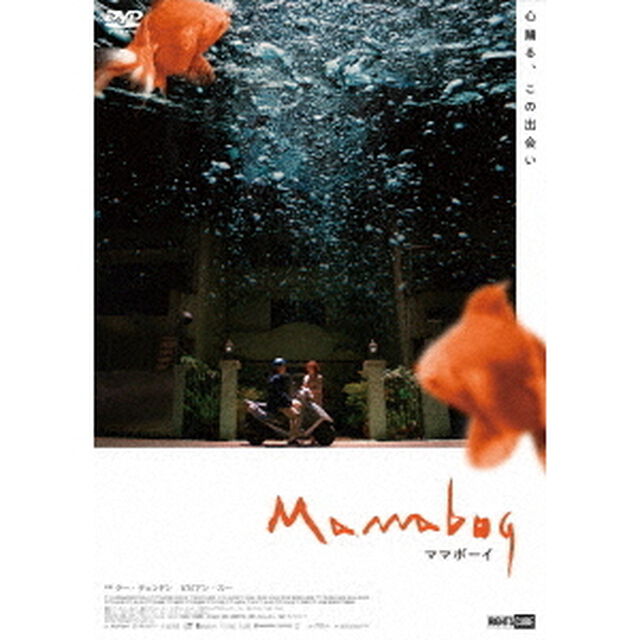 ママボーイ（ＤＶＤ）