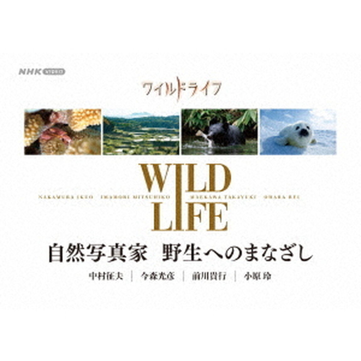 ワイルドライフ　自然写真家　野生へのまなざし　BOX（ＤＶＤ）