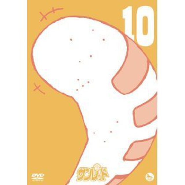 天体戦士サンレッド　10（ＤＶＤ）