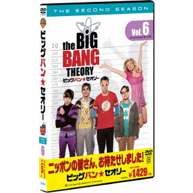 ビッグバン★セオリー＜セカンド・シーズン＞　Vol．6（ＤＶＤ）