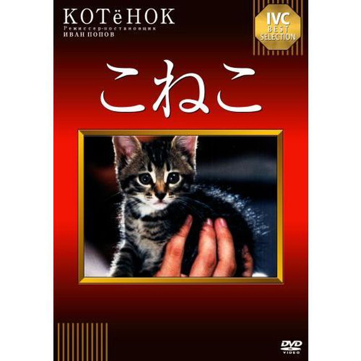 こねこ（ＤＶＤ）