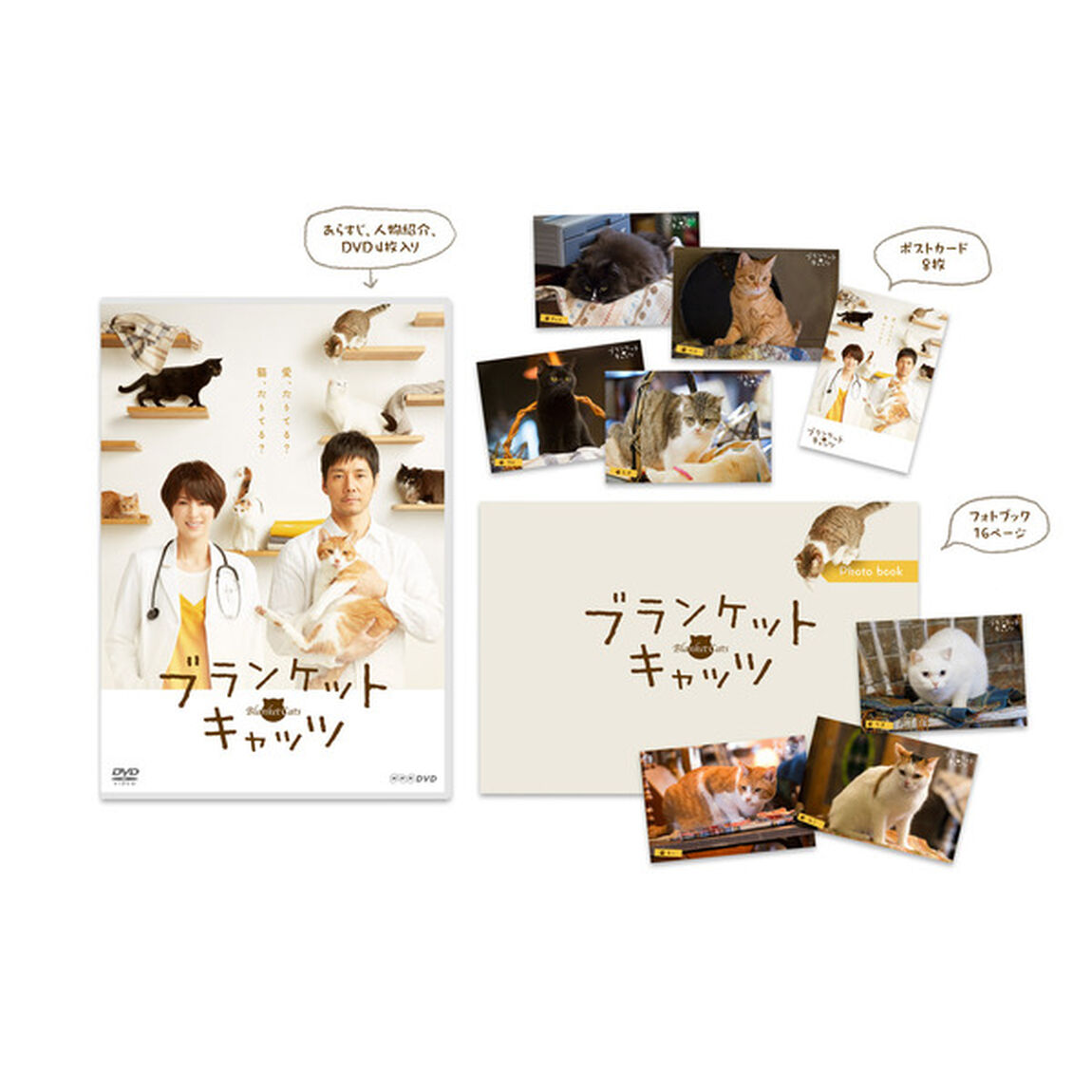 ブランケット・キャッツ　DVD－BOX（ＤＶＤ）