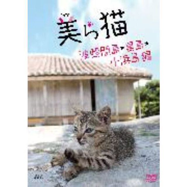 美ら猫　波照間島・黒島・小浜島編（ＤＶＤ）