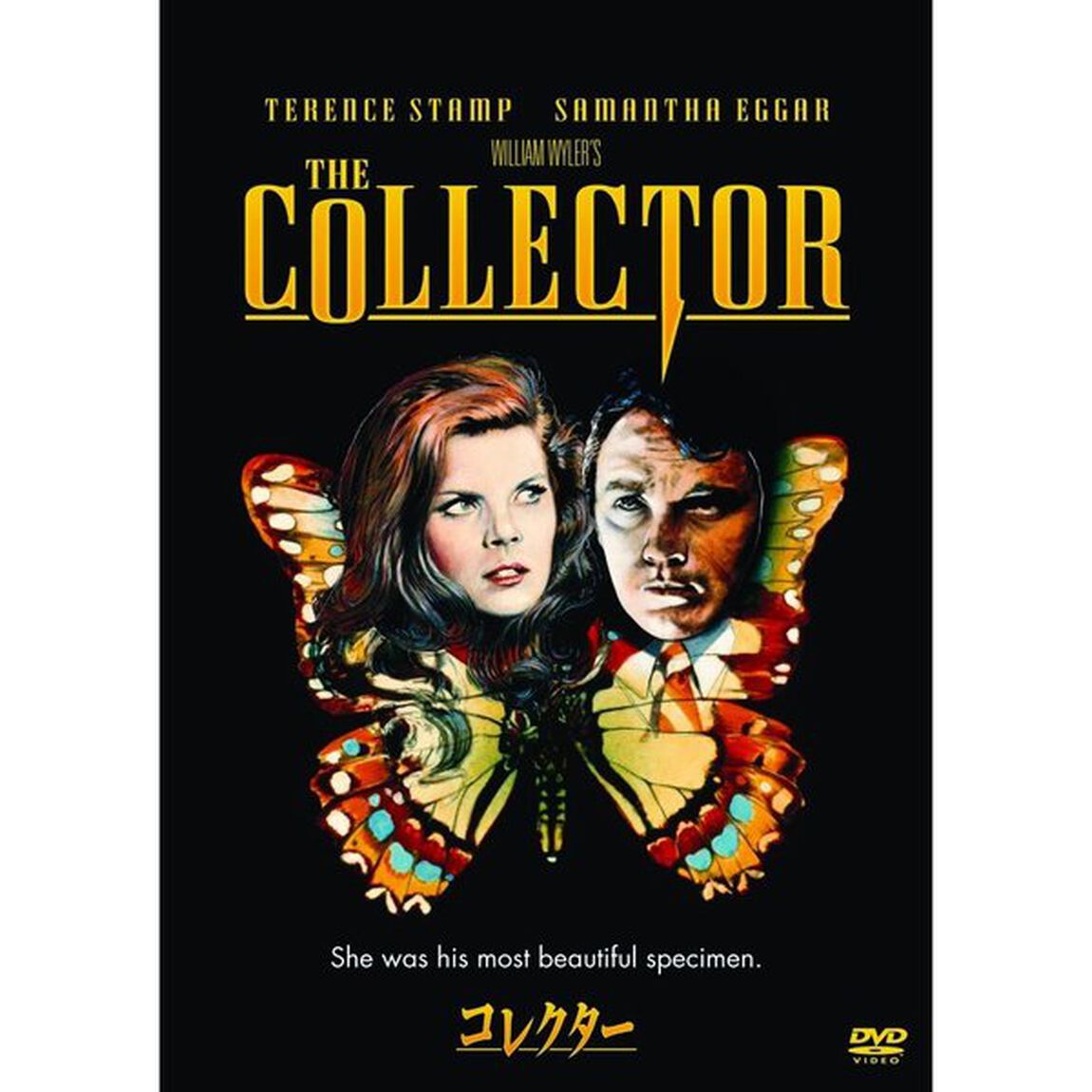 コレクター（ＤＶＤ）