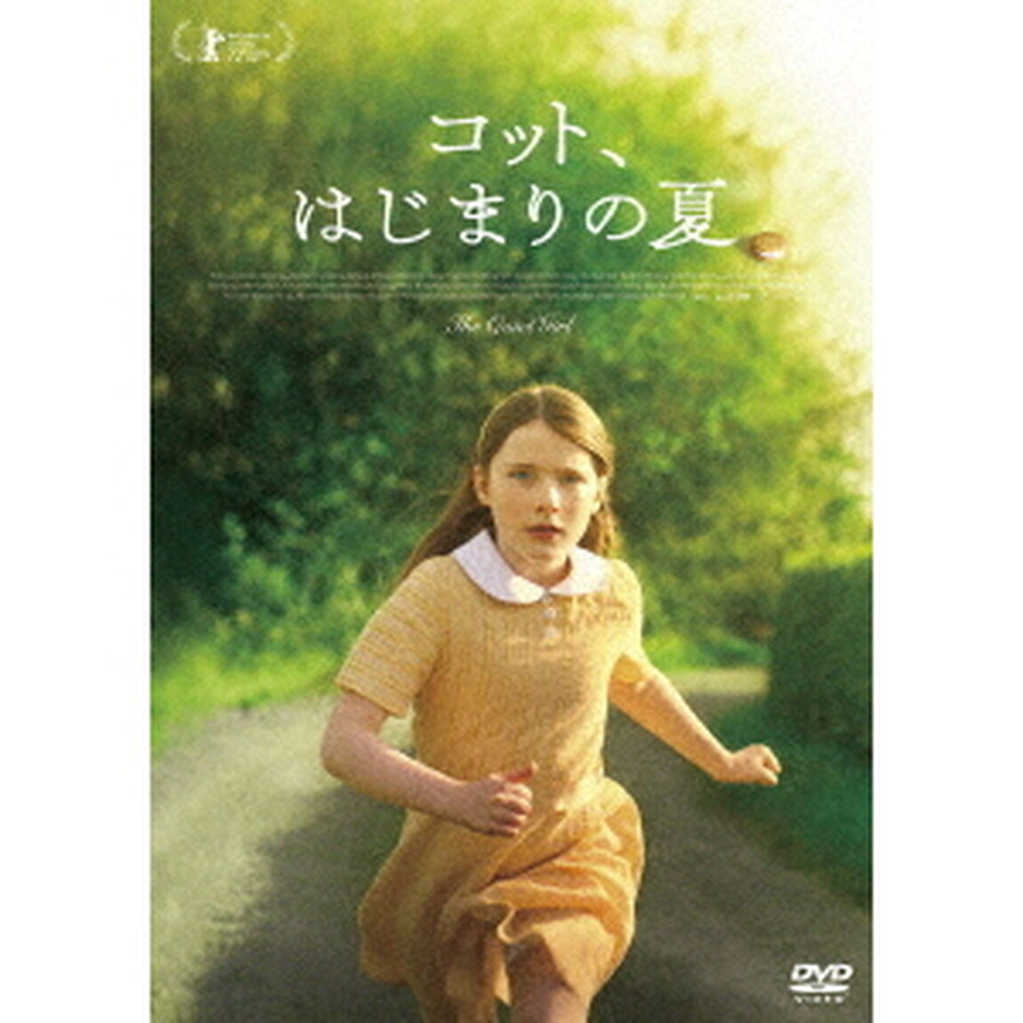 コット、はじまりの夏（ＤＶＤ）